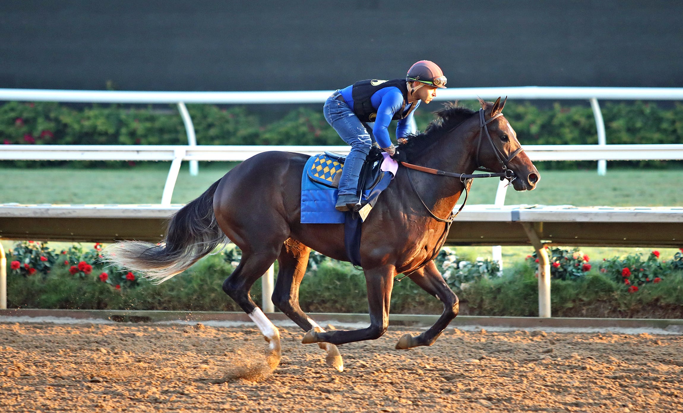 Fort Bragg, Mage join Florida Derby lineup